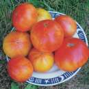 Tomate Mennonite German Gold - Solanum Lycopersicum -...