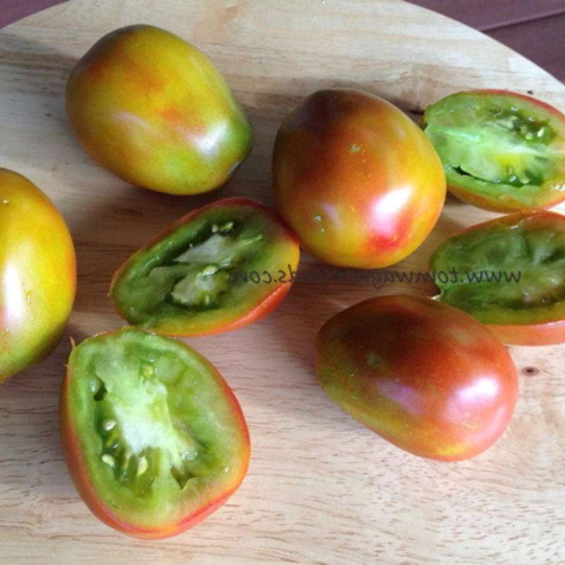 Tomate Pastel Sleeves - Solanum Lycopersicum - BIOSAMEN