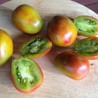 Tomate Pastel Sleeves - Solanum Lycopersicum - BIOSAMEN