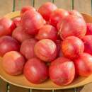 Tomate Pink Furry Boar - Solanum Lycopersicum - BIOSAMEN