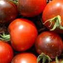 Tomate Alki Blue Blood - Solanum Lycopersicum - BIOSAMEN