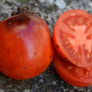 Tomate Black Shadow - Solanum Lycopersicum - BIOSAMEN
