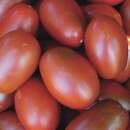 Tomate Black Mauri - Solanum Lycopersicum - BIOSAMEN