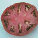 Tomate Charbonneuse - Solanum Lycopersicum - BIOSAMEN