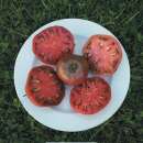 Tomate Charbonneuse - Solanum Lycopersicum - BIOSAMEN