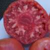 Tomate 1884 - Solanum Lycopersicum - BIOSAMEN