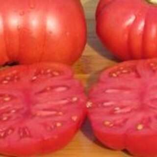 Tomate Calabash Red - Solanum Lycopersicum - BIOSAMEN