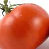 Tomate Charnue de Huy - Solanum Lycopersicum - BIOSAMEN