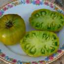 Tomate Grubs Mystery Green - Solanum Lycopersicum - BIOSAMEN