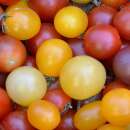 Tomate Mélange à petits fruits - Solanum...