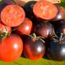 Tomate Cascade Village Blue - Solanum Lycopersicum -...