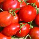 Tomate Piennolo Del Vesuvio - Solanum Lycopersicum -...