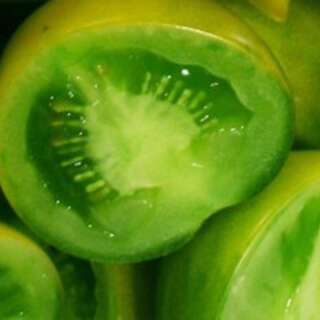 Tomate Green Doctors Frosted - Solanum Lycopersicum - BIOSAMEN