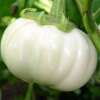 Aubergine, Eierfrucht Thai White Ribbed - Solanum melongena - BIOSAMEN