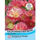 Kalifornischer Mohn Rose Chiffon - Eschscholzia...