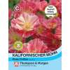 Kalifornischer Mohn Rose Chiffon - Eschscholzia californica - Samen