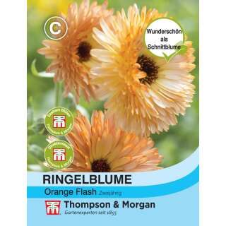 Ringelblume Orange Flash - Calendula officinalis - Samen