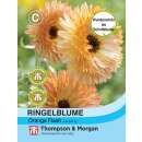 Ringelblume Orange Flash - Calendula officinalis - Samen