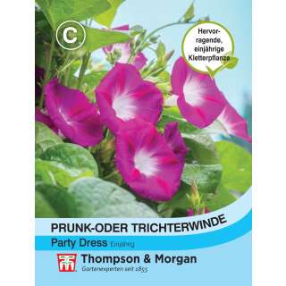 Winde, Trichterwinde Party Dress - Ipomoea purpurea - Samen