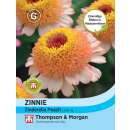 Zinnie Zinderella Peach - Zinnia marylandica - Samen