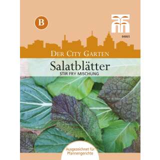 Schnittsalat, Salatblätter Stir Fry Mischung - Brassica species - Samen