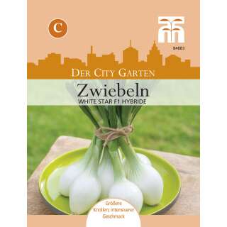 Topf Frühlings-Zwiebel White Star - Allium cepa - Samen