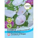 Cosmea, Schmuckkörbchen Cupcakes Mischung - Cosmos...