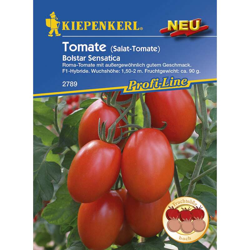 Tomate, Romatomate Bolstar Sensatica F1 - Lycopersicon esculentum - Tomatensamen