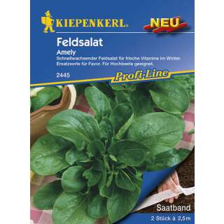 Nüsslisalat, Feldsalat Amely - Valerianella locusta - Saatband