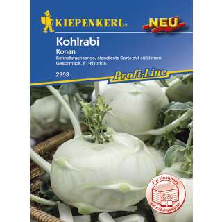 Kohlrabi Konan - Brassica oleracea acephala gongylodes - Samen