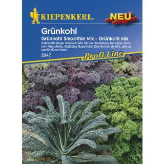 Federkohl, Grünkohl Smoothie Mix - Brassica oleracea var. sabellica - Samen