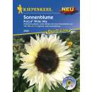 Sonnenblume ProCut  White Nite - Helianthus annuus - Samen