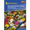 Blumenmischung Bauerngarten Saatteppich - Diverse species