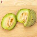 Melone, Zuckermelone Extra Early Nutmeg - Cucumis melo - BIOSAMEN