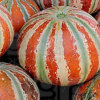 Melone, Zuckermelone Kajari - Cucumis melo - BIOSAMEN