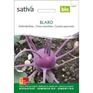 Kohlrabi, blau Blaro - Brassica ol. aceph. gongylodes