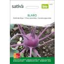 Kohlrabi, blau Blaro - Brassica ol. aceph. gongylodes