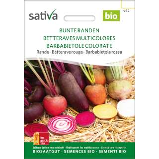 Rande, Bete Bunte Mischung - Beta vulgaris conditiva