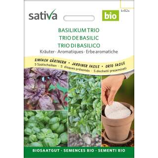 Basilikum Trio Saatscheiben - Ocimum basilicum