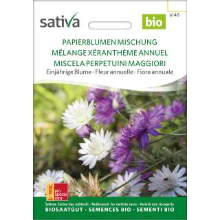 Papierblume Mischung - Xeranthemum annuum - Samen