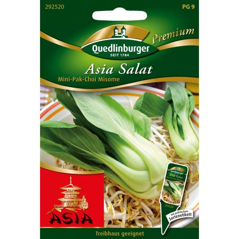 Asia-Salat, Pak Choi, mini Misome - Brassica campestris narinosa - Samen