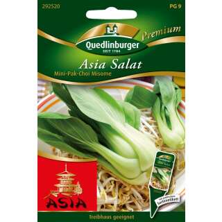 Asia-Salat, Pak Choi, mini Misome - Brassica campestris narinosa - Samen