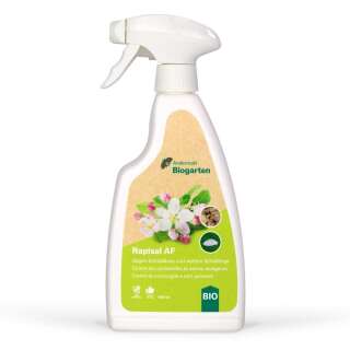 Rapisal Spray (500ml) - Biologisches Insektizid