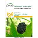 Schwarzer Maulbeerbaum - Morus nigra - Samen