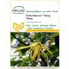 Parfumbaum / Ylang Ylang - Cananga odorata - Samen