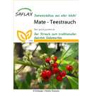 Mate Teestrauch - Ilex paraguariensis - Samen