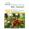 Mate Teestrauch - Ilex paraguariensis - Samen