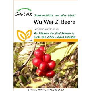 Wu-Wei-Zi Beere, Chinabeere - Schisandra chinensis - Samen