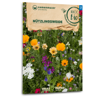 Nützlingsweide (Blumen- und Kräutermischung) -...