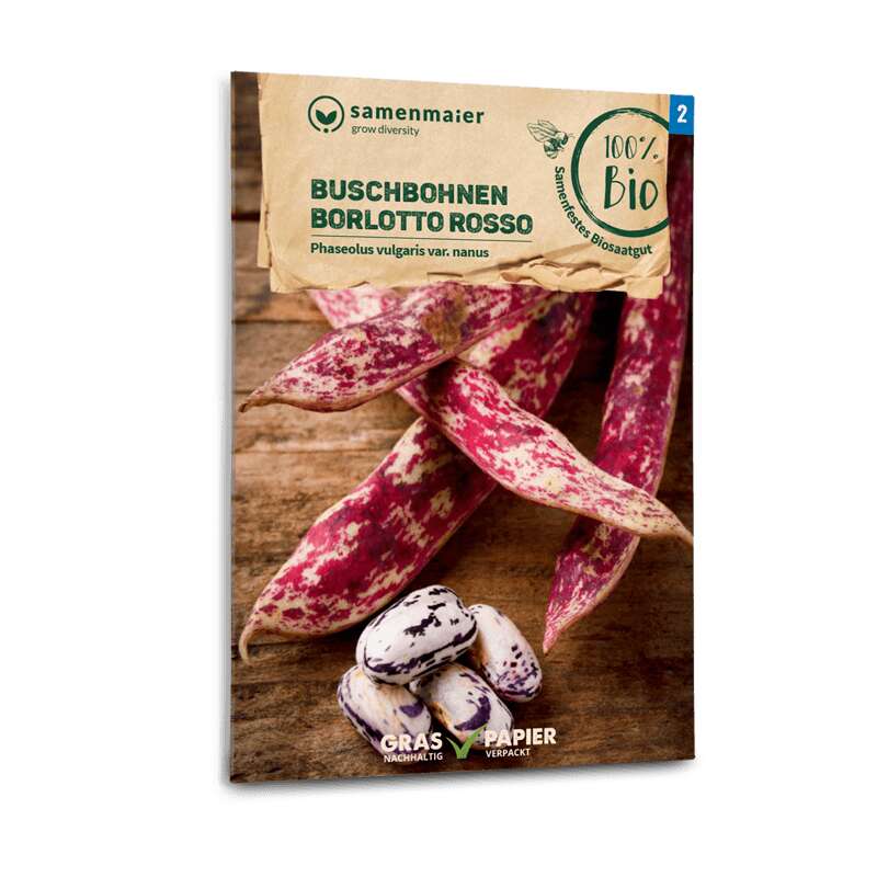 Buschbohne Borlotto Rosso - Phaseolus vulgaris var. nanus - BIOSAMEN